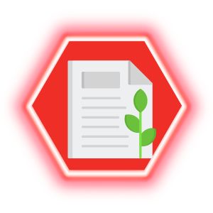 paper